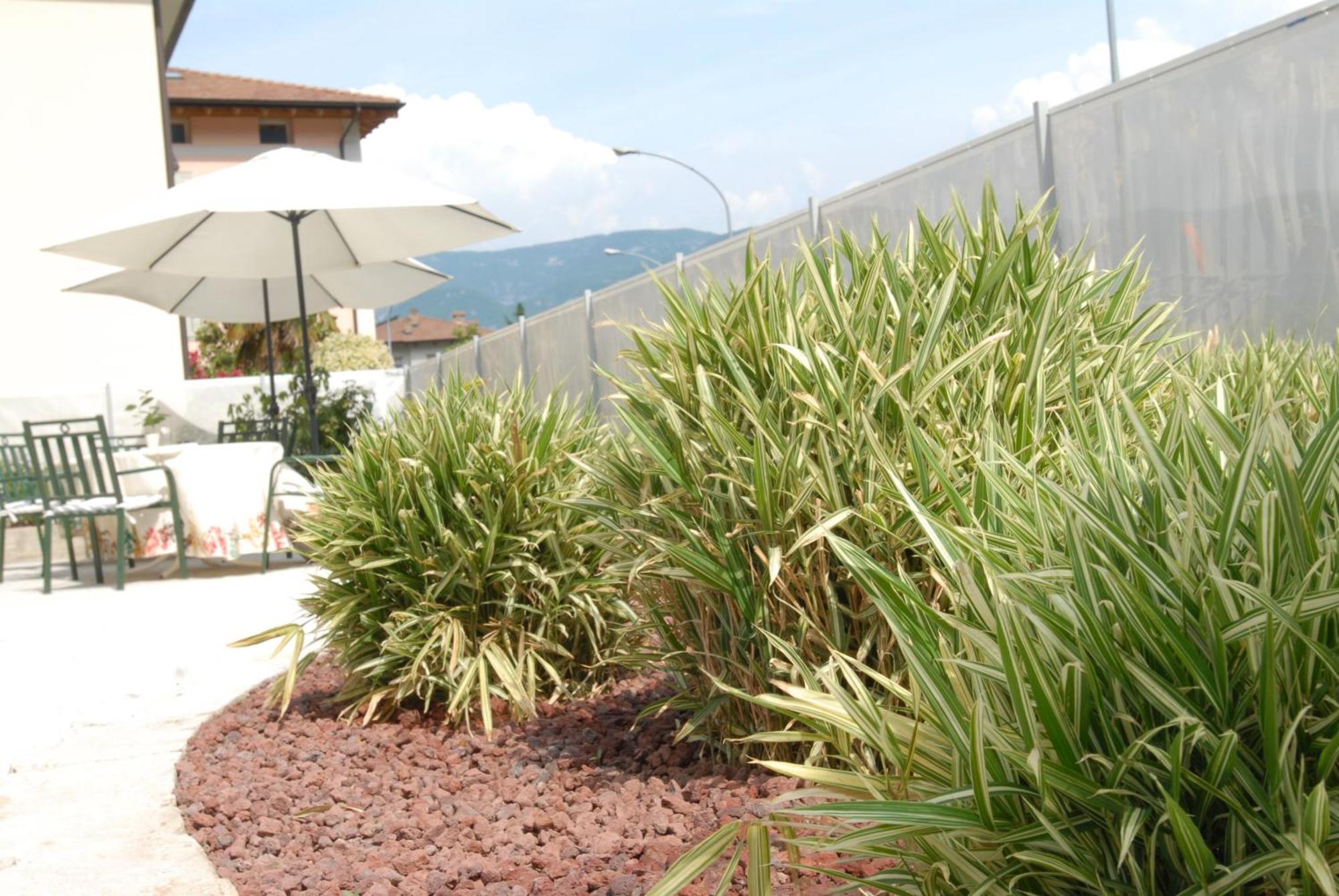 Albergo Al Sole Mezzolombardo Exterior photo